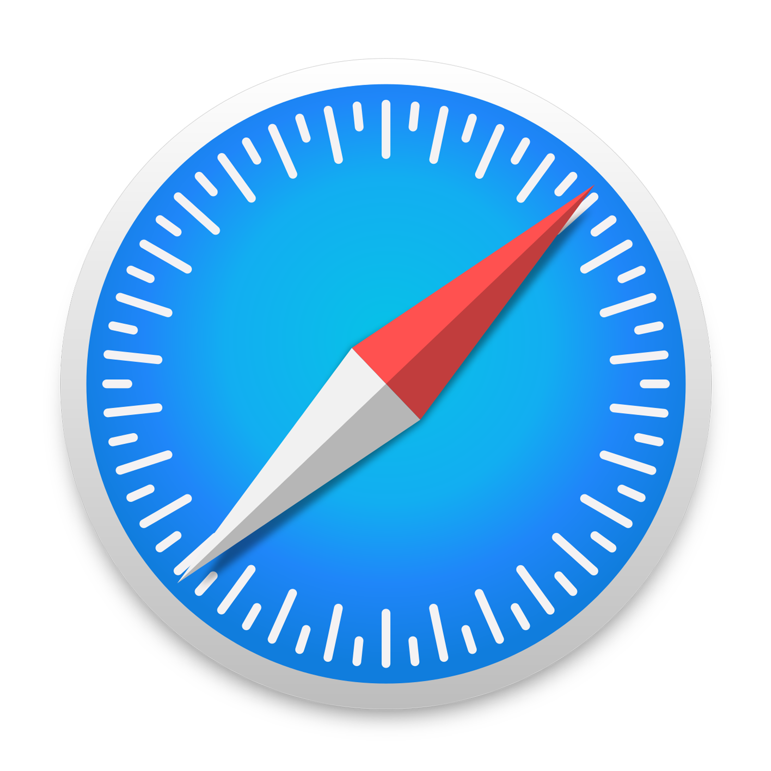 Safari
